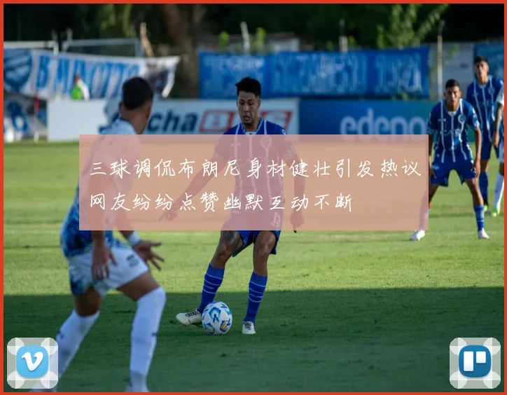 三球调侃布朗尼身材健壮引发热议网友纷纷点赞幽默互动不断