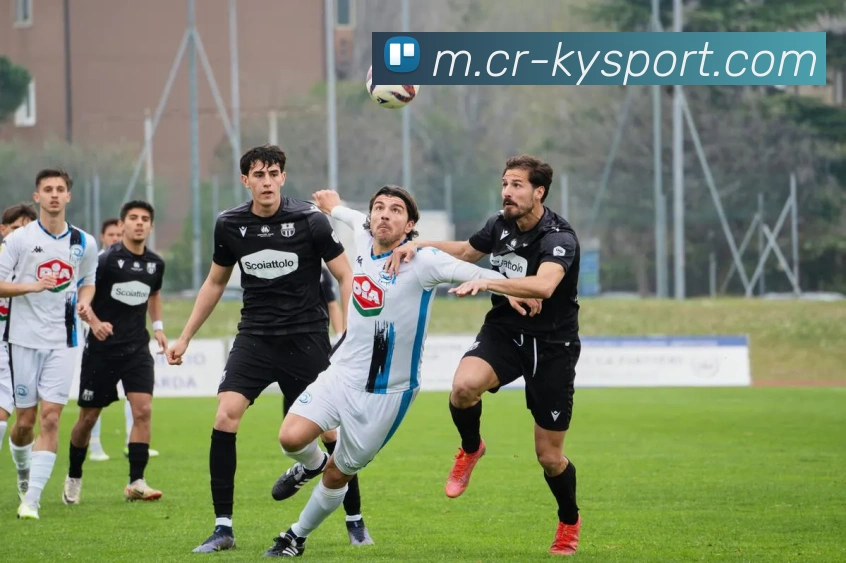 App Interface Preview