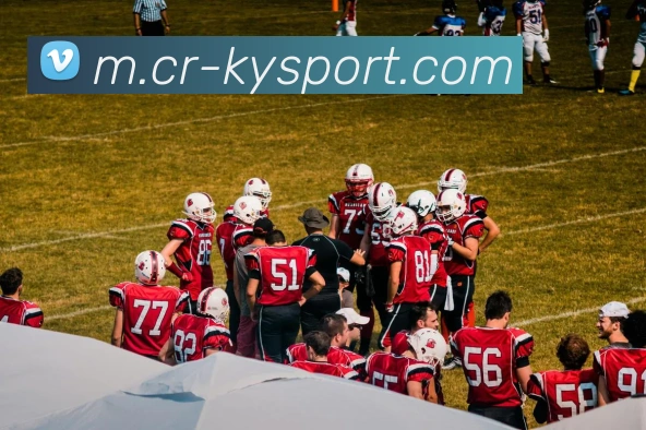 开云足球APP 封面图